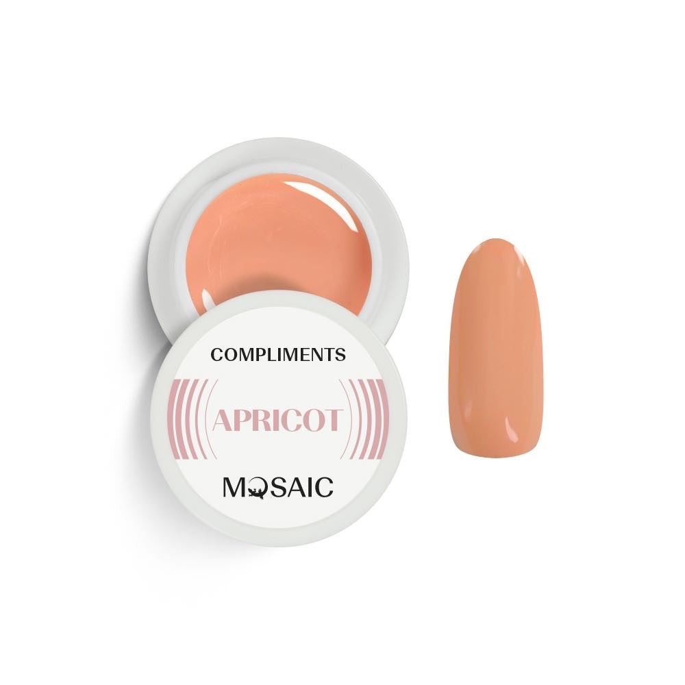 MOSAIC Gel-Paint Limited Edition COMPLIMENTS APRICOT